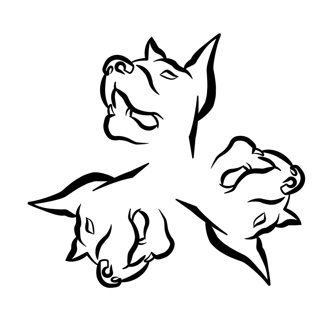 Cerberus Development, Inc.