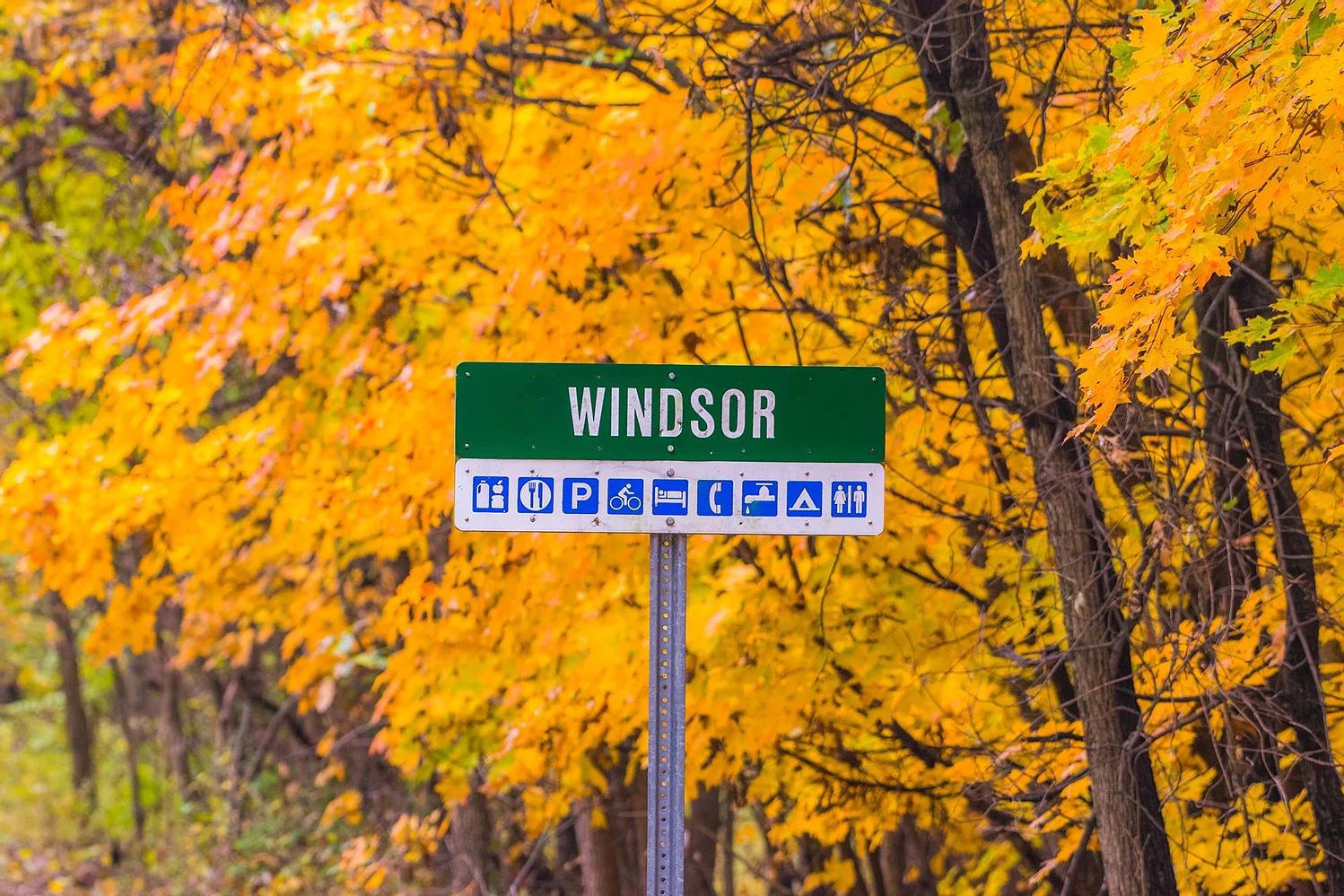 Windsor Sign on Trail